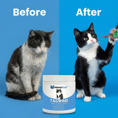 MeowFuel™ Taurine